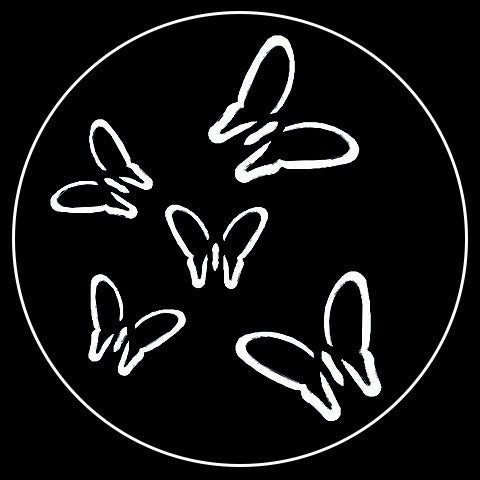 Jolene's Butterflies Gobo, 7 of 8