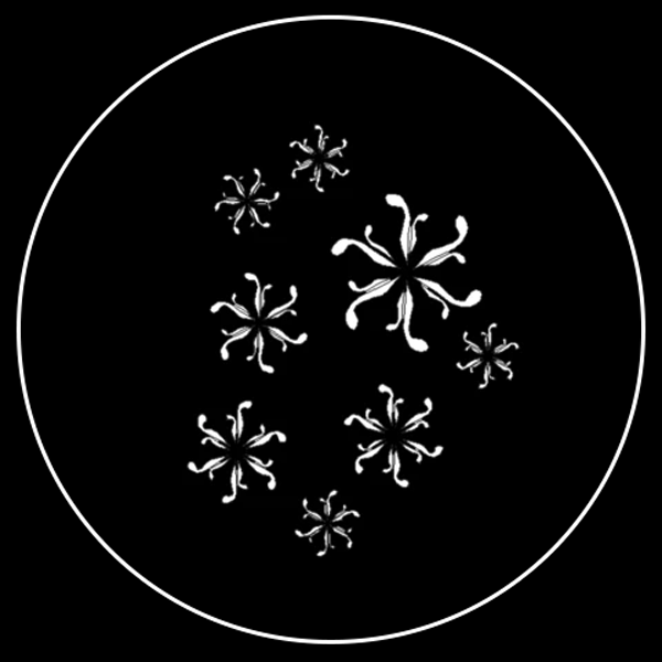 Curvy Snowflake Gobo Series of 8 Designs