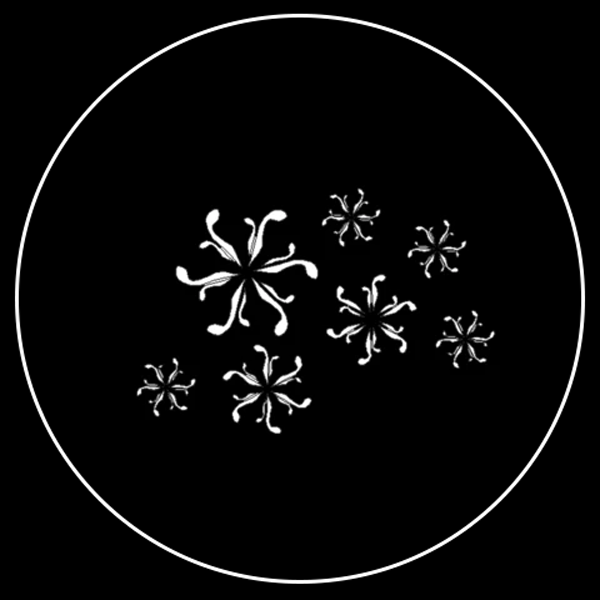 Curvy Snowflake Gobo Series of 8 Designs