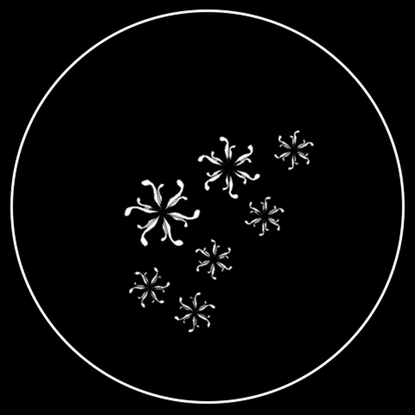 Curvy Snowflake Gobo Series of 8 Designs